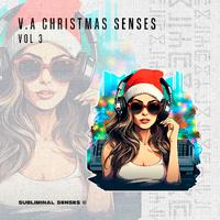 V.A Christmas Senses Vol 3