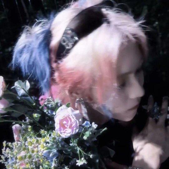 对不起我还是岳明辉的狗