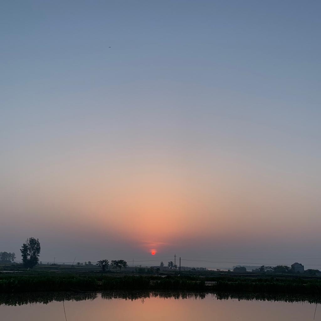 我的老傻儿邻居叫大团