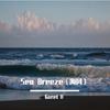 DJ刚仔 - Sea Breeze