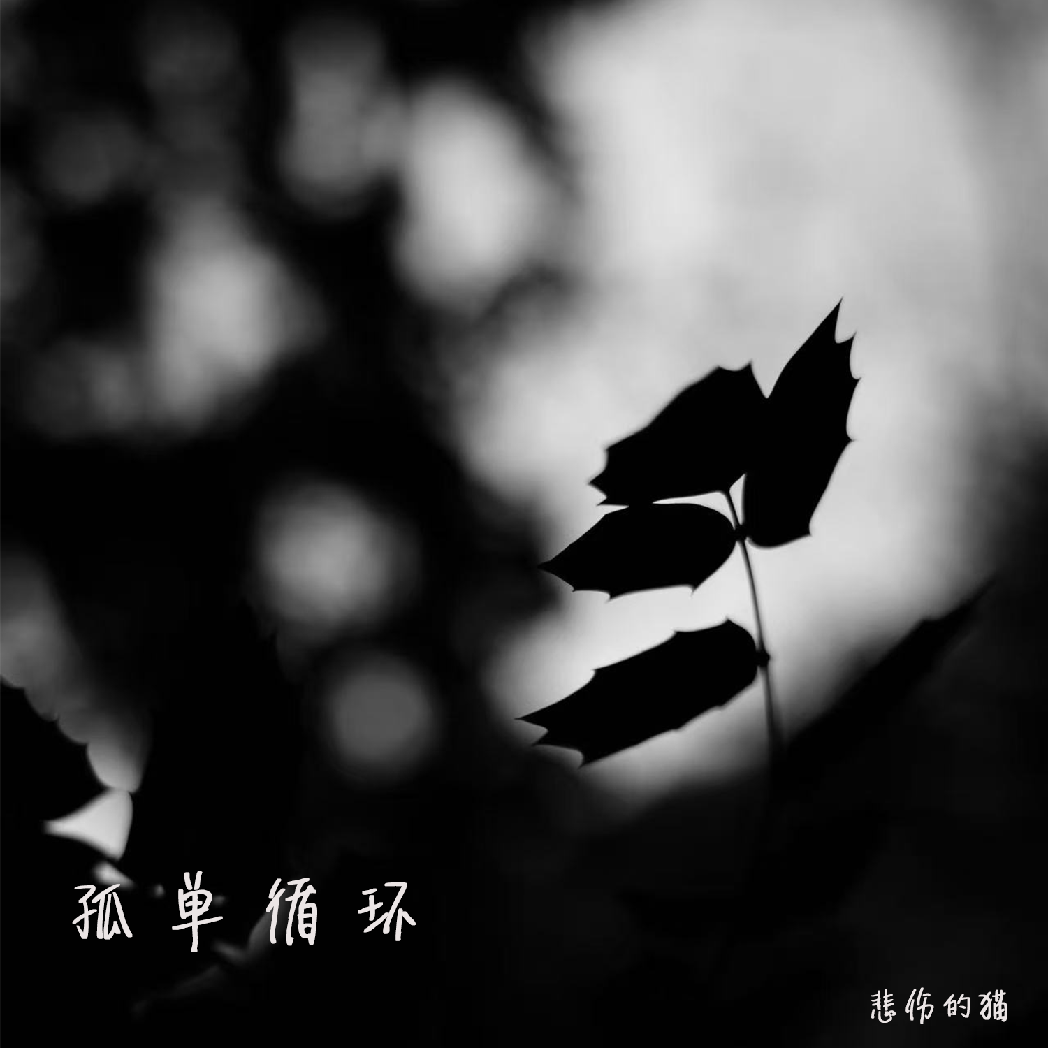 孤单循环（伴奏） - 悲伤的猫封面