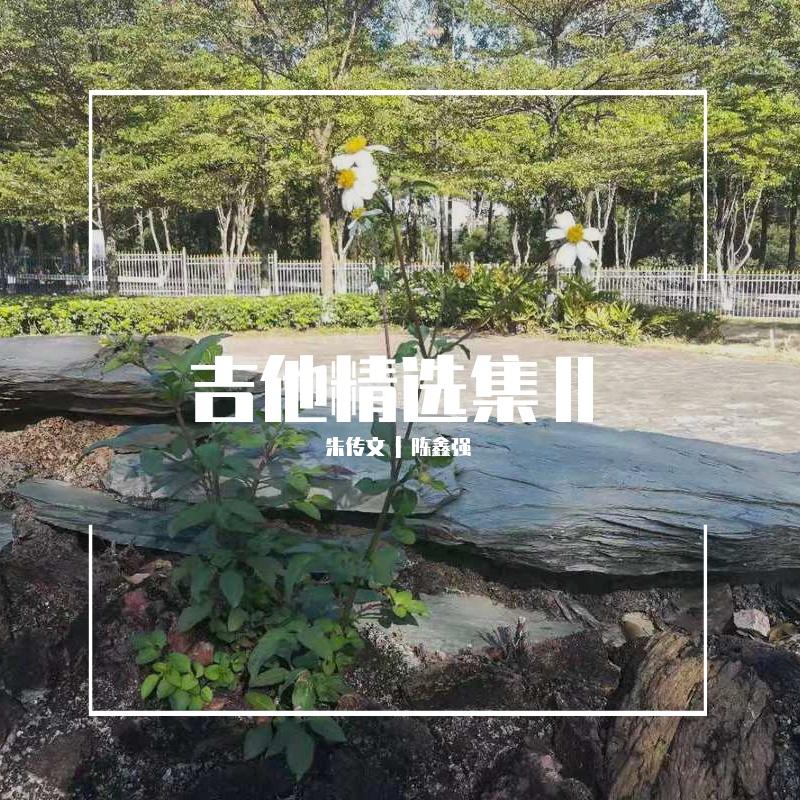 《蓝色的爱》吉他独奏（cover by 朱传文）（翻自 朱传文）封面