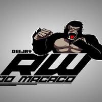 DJ RW DO MACACO