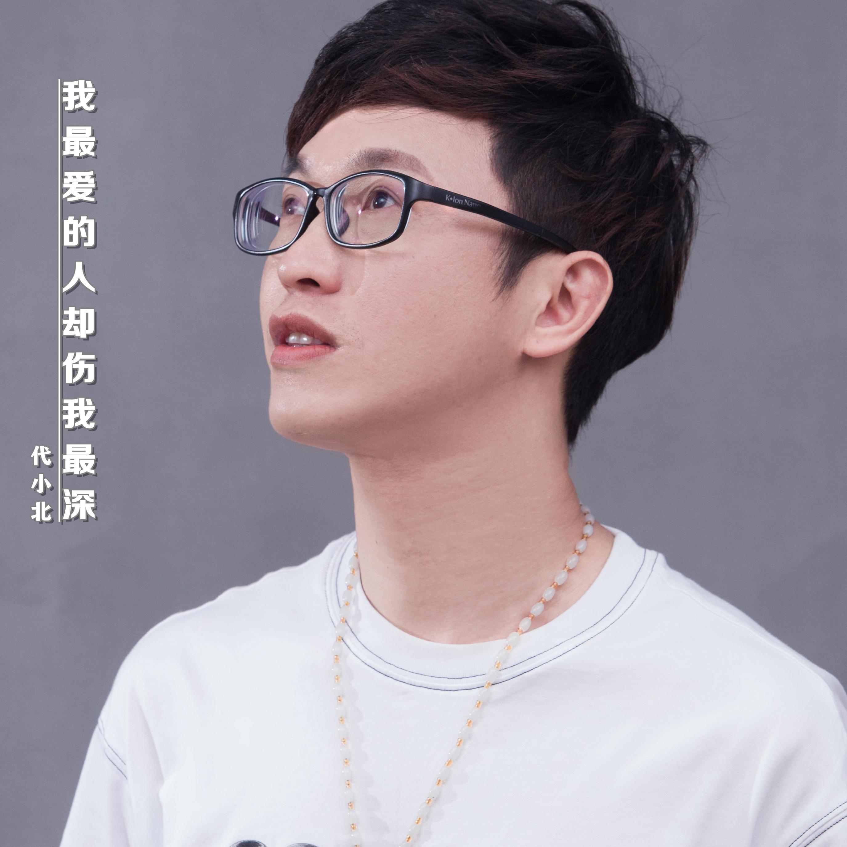 我最爱的人却伤我最深封面