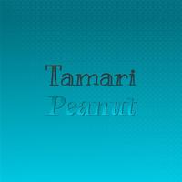 Tamari Peanut