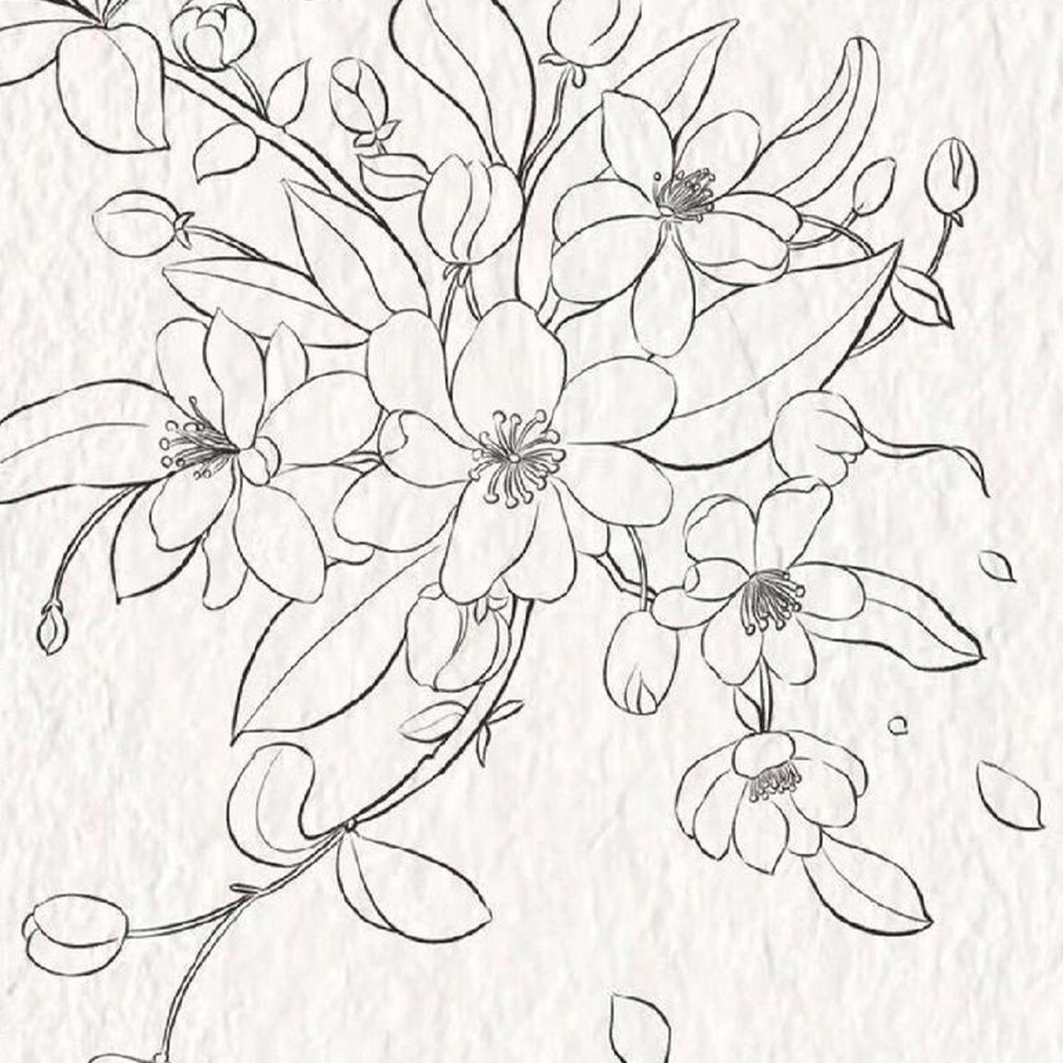 四点的海棠花未眠(欧版)封面