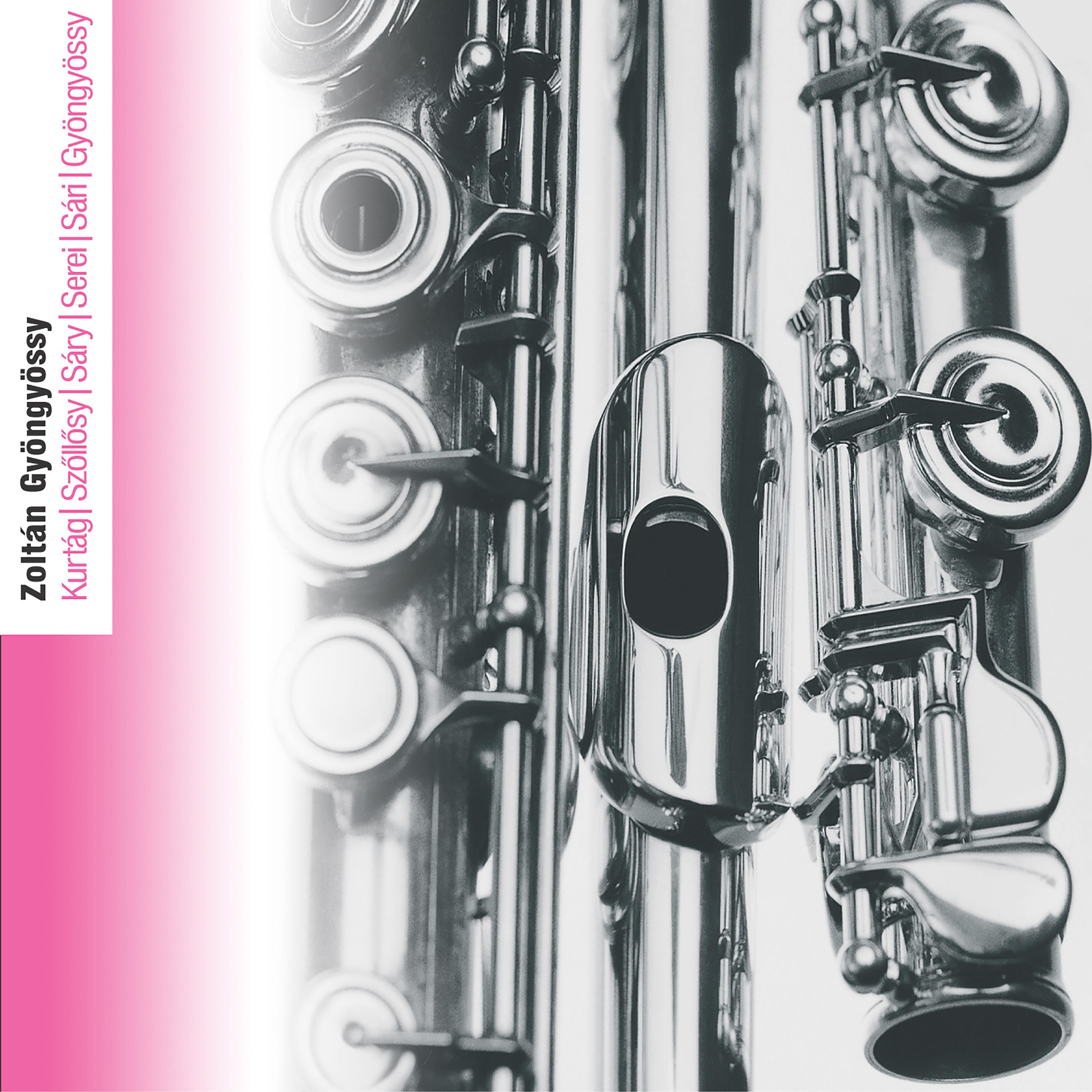 Parallel Lines That Meet Before Infinity:I. Maestoso, molto espressivo