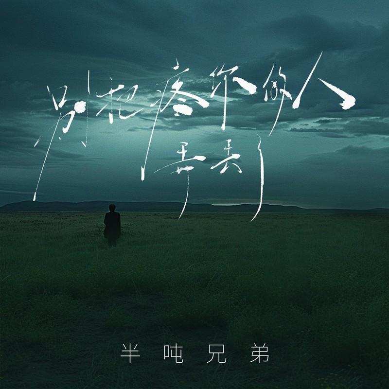 别把疼你的人弄丢了 (DJ九零版伴奏)封面