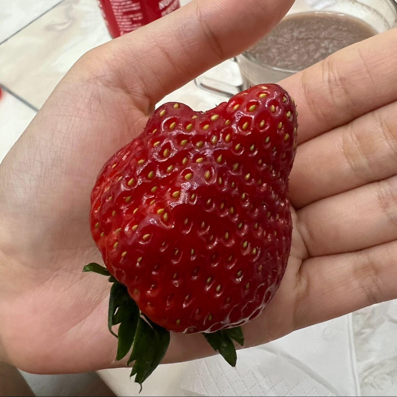 cute stuff(prod.warheart)