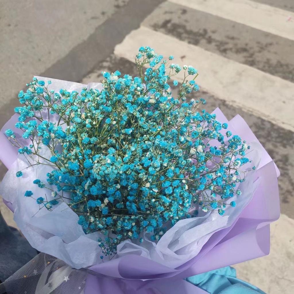 素鸢半暖画凉筝