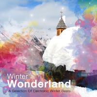 Winter Wonderland, Vol. 1