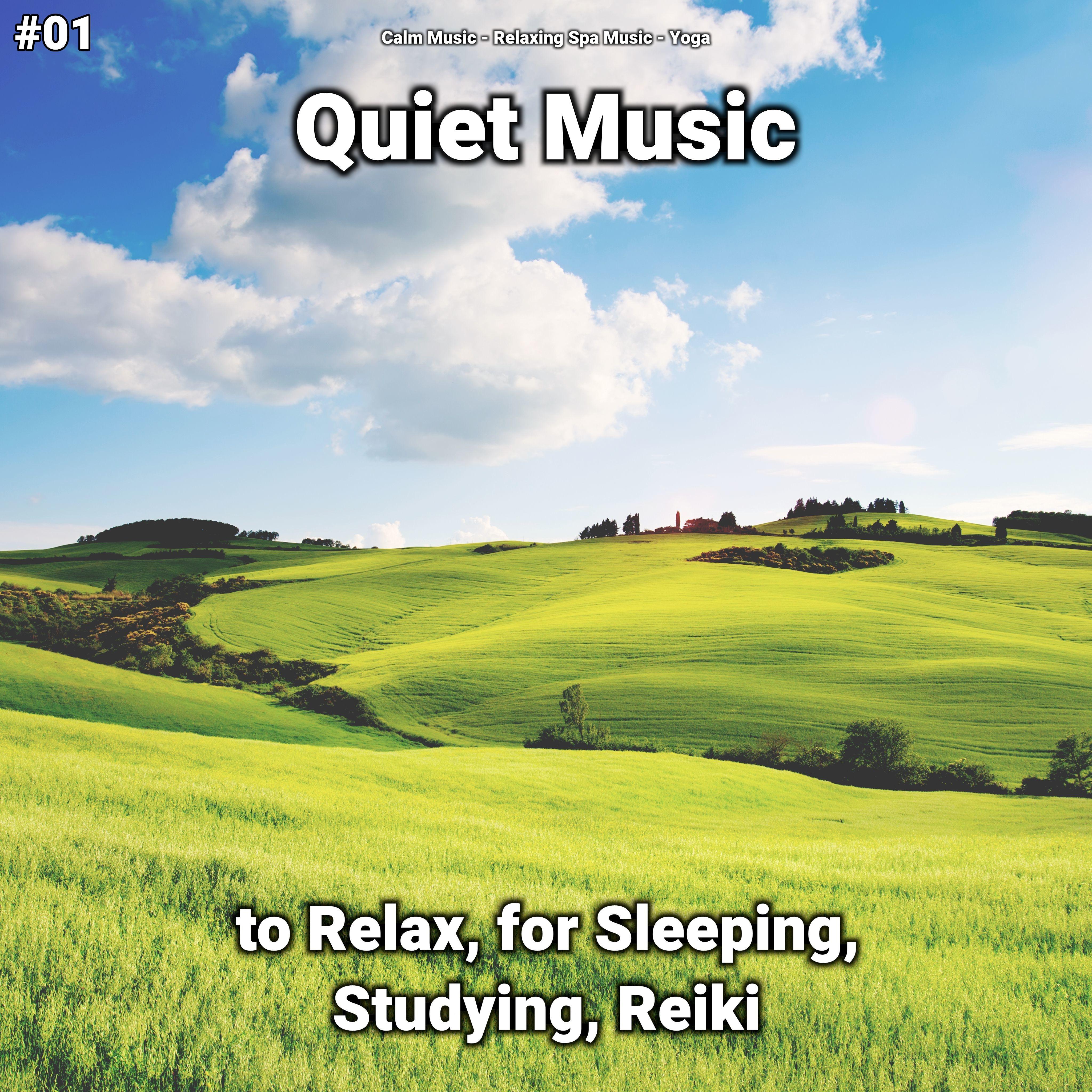 Soothing Music for Sleeping