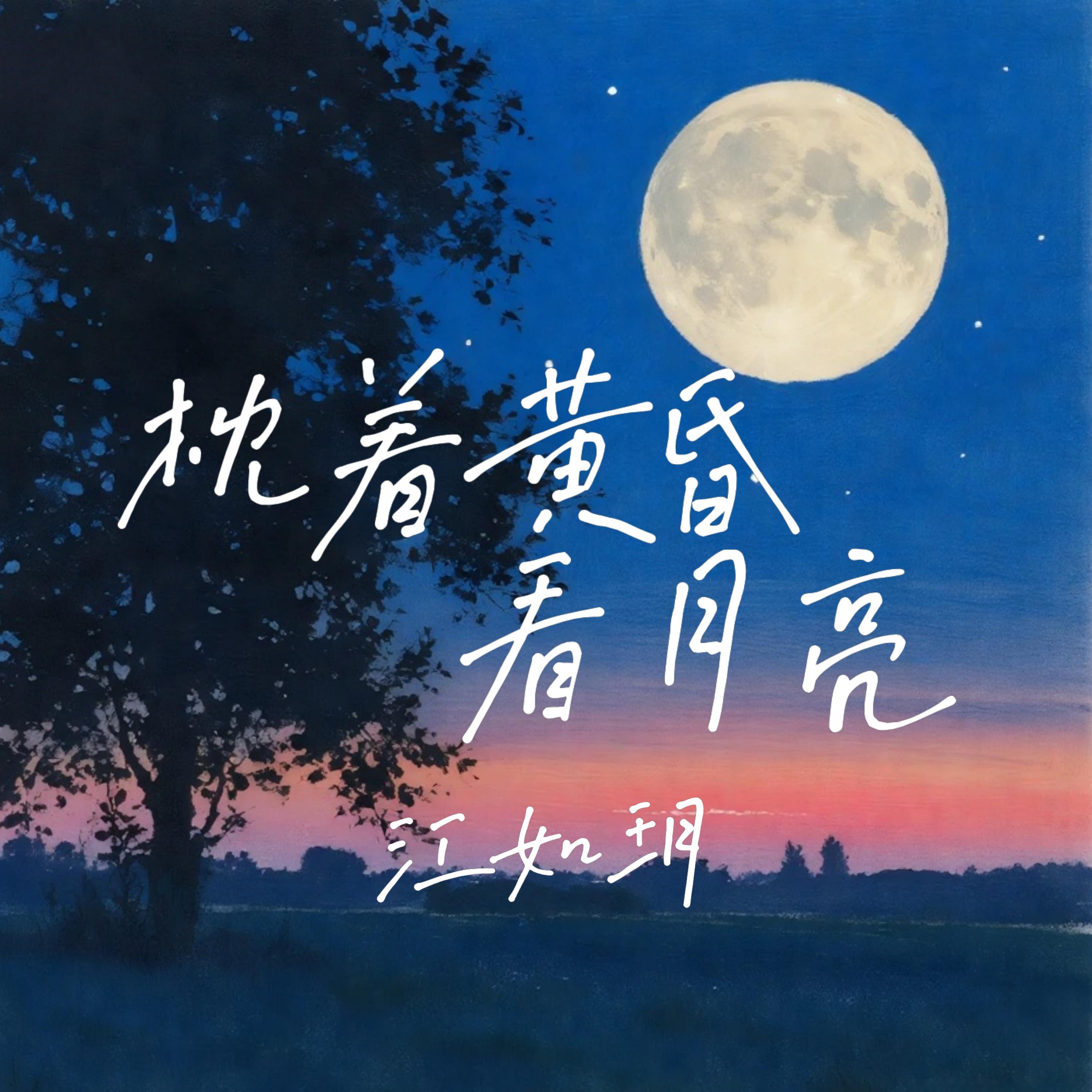 枕着黄昏看月亮封面