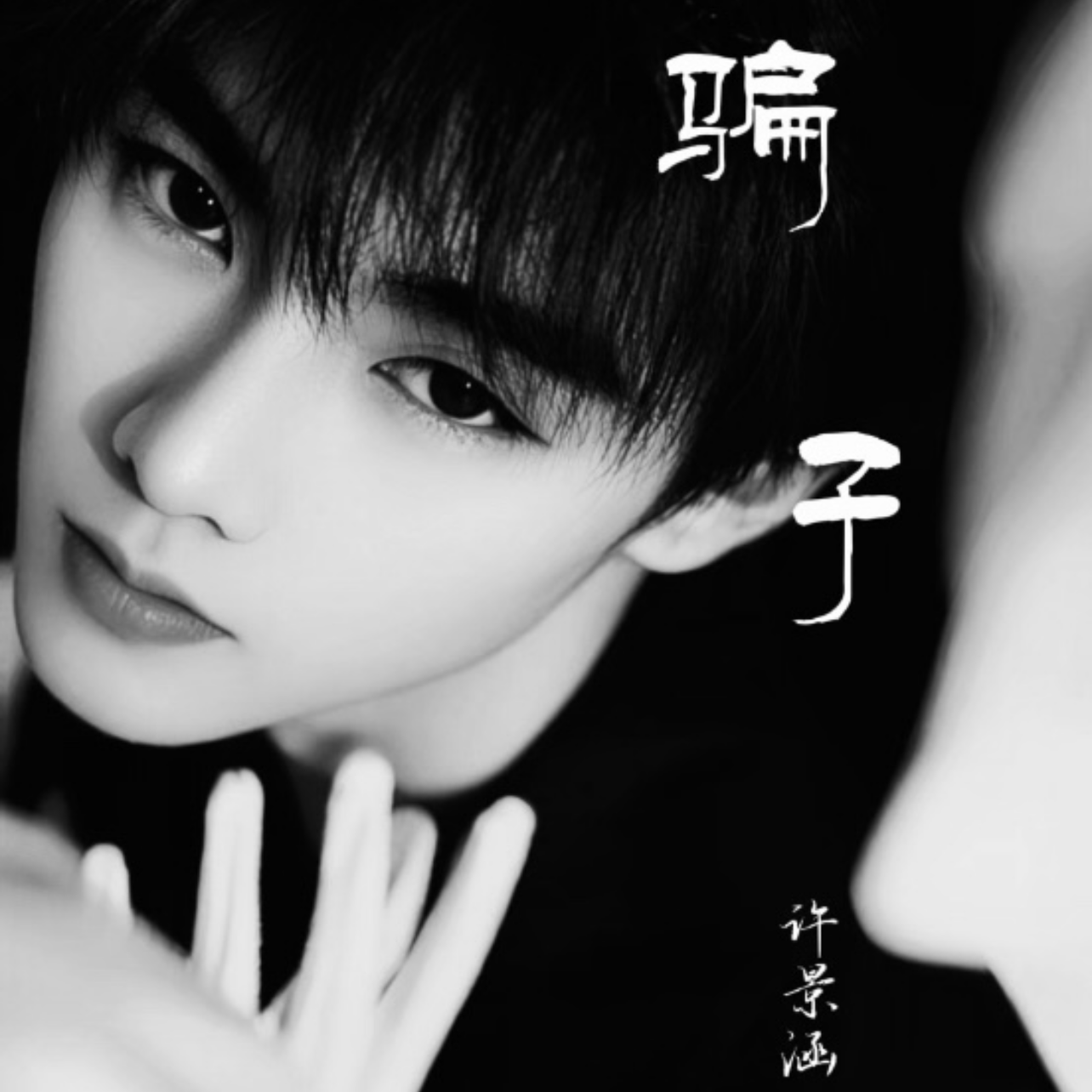 骗子（DJ版）封面