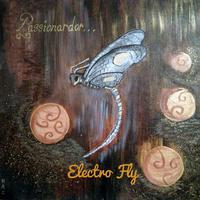 Electro Fly