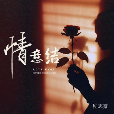 情意结封面