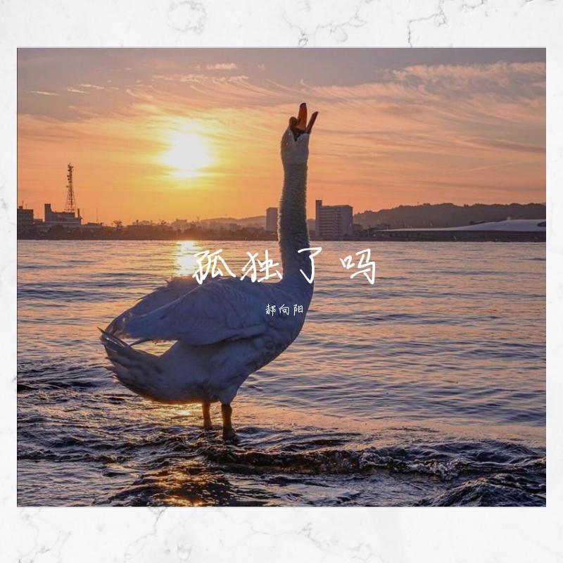 阿帆-孤独了吗（郝向阳 / DJ Bmaster remix）