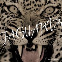 JAGUAR '13