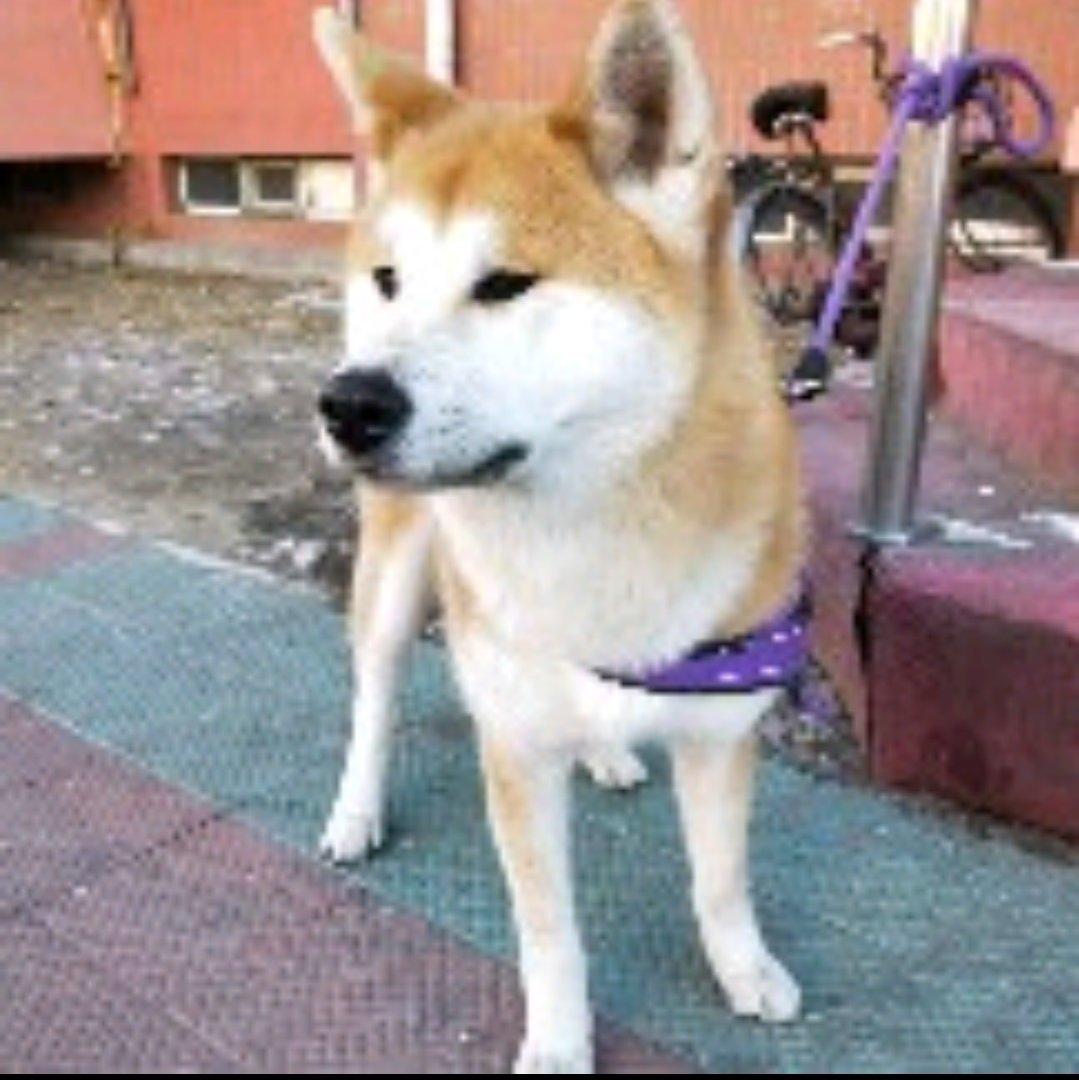 普通人喜欢普通的世界