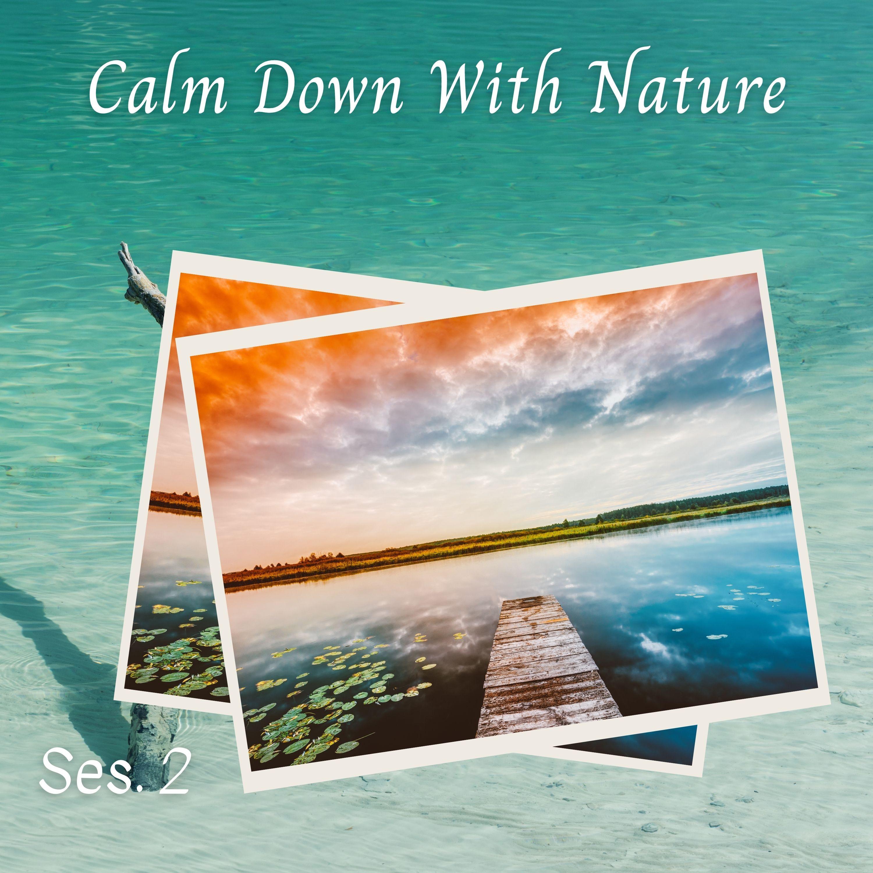 Beauty In Nature_Forest FX_Calm Down With Nature Ses. 2 | 在线播放_Beauty In Nature歌词_Beauty In Nature下载 | 网易云音乐