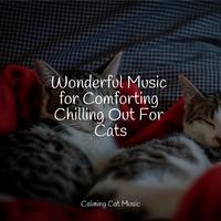 Wonderful Music for Comforting Chilling Out For Cats