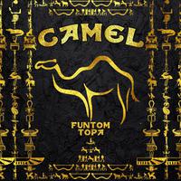 Camel (feat. Topa)