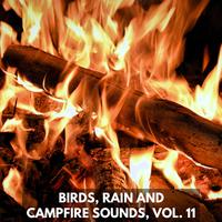 Birds, Rain and Campfire Sounds, Vol. 11