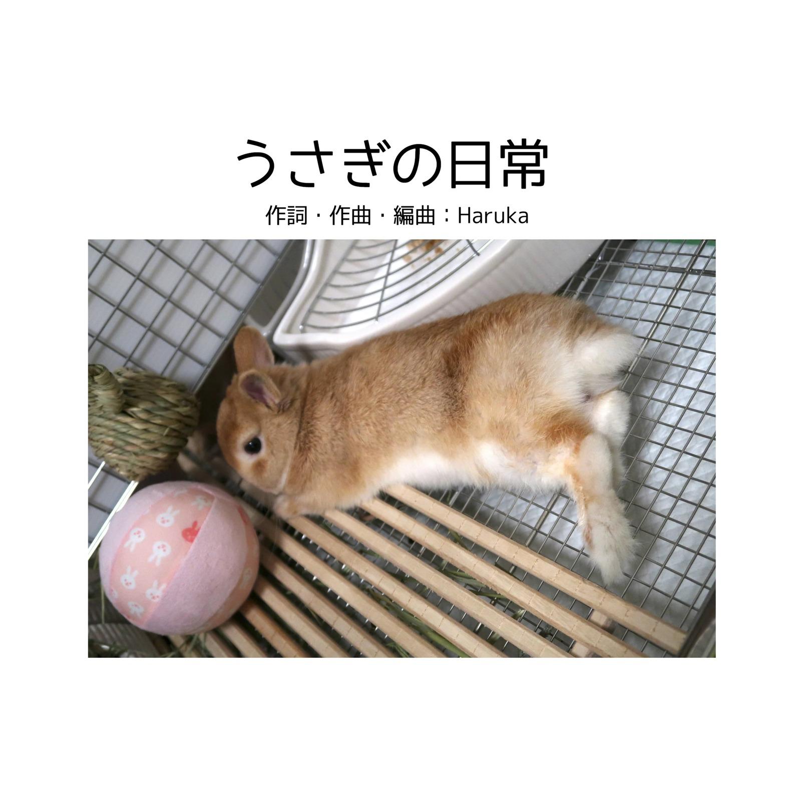 うさぎの日常 (feat. 雪解 & SAKURA)