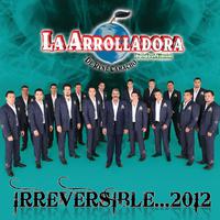 Irreversible... 2012