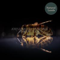 Joyful Nature Music for Ambient Yoga