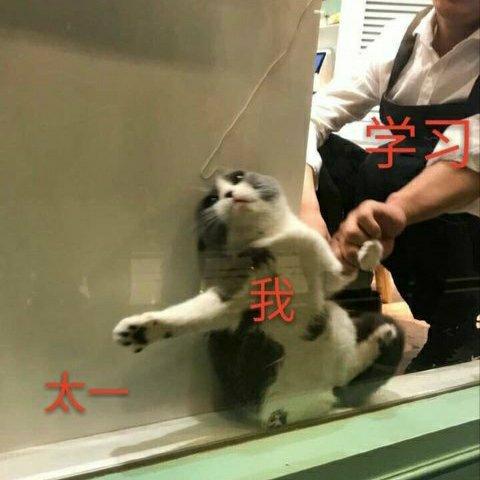 太一