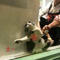 太一