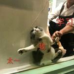 太一