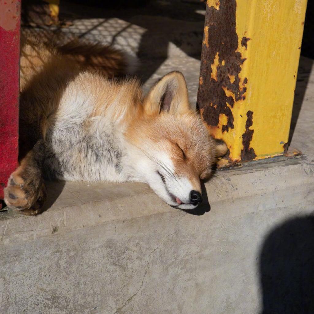 请杨文滚出摇滚圈