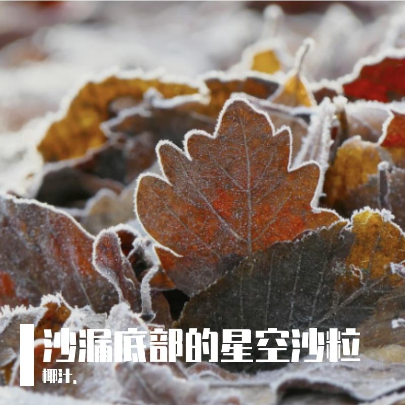 阳台上的番茄红了封面