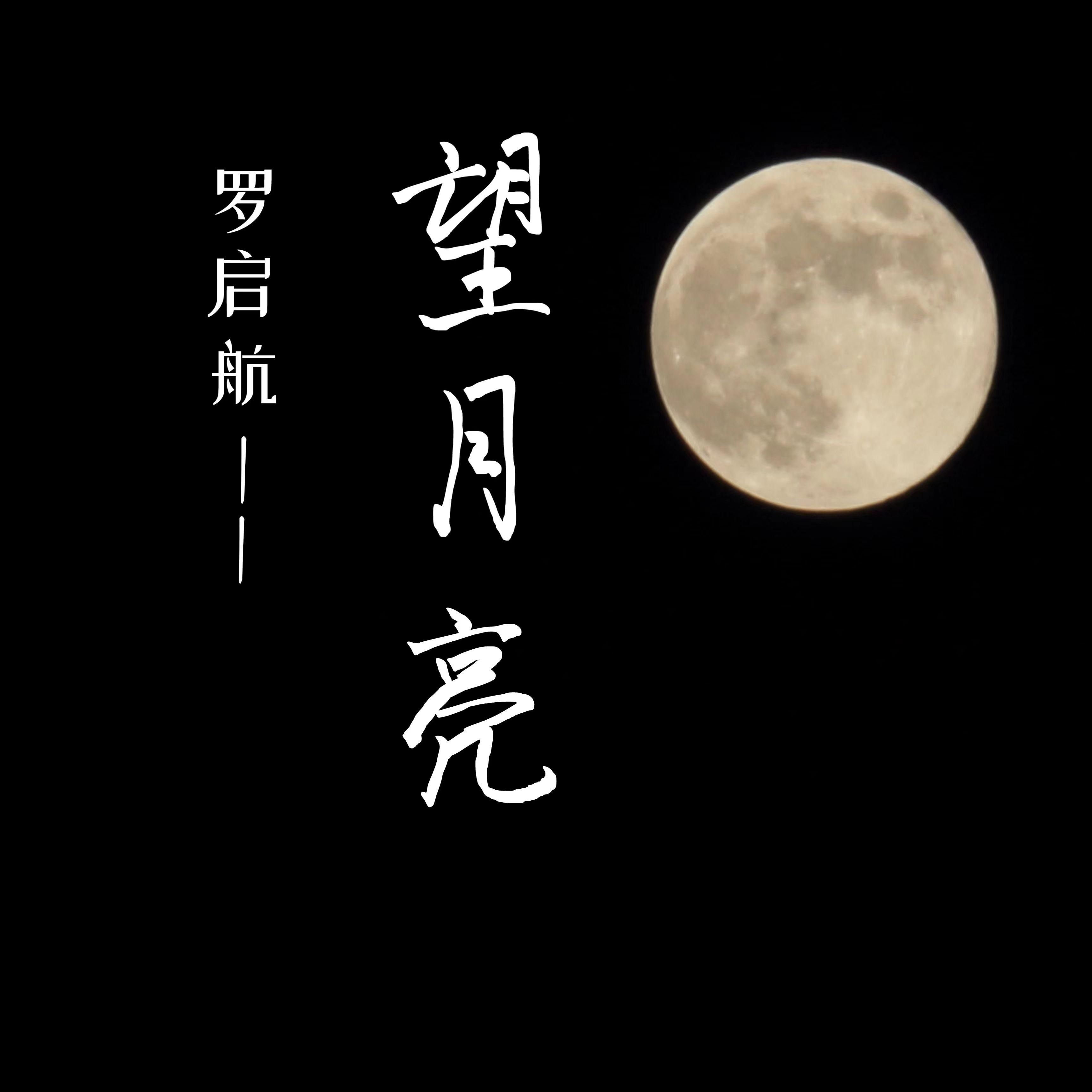 望月亮封面