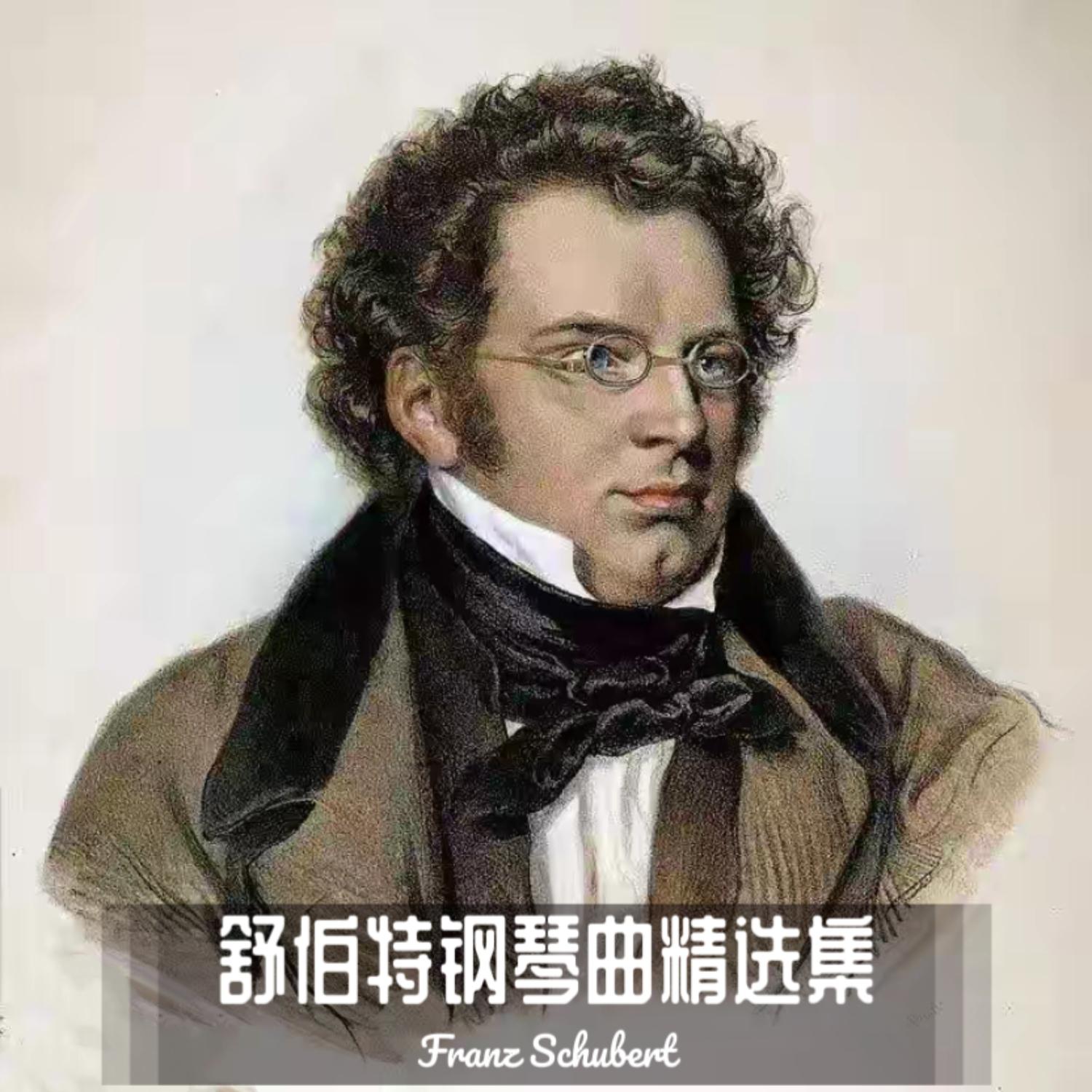 舒伯特：音乐瞬间（钢琴曲世界名曲）