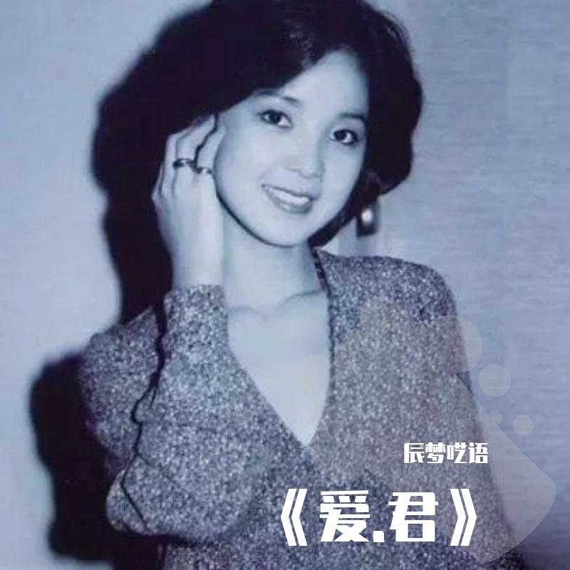 多情的玫瑰封面