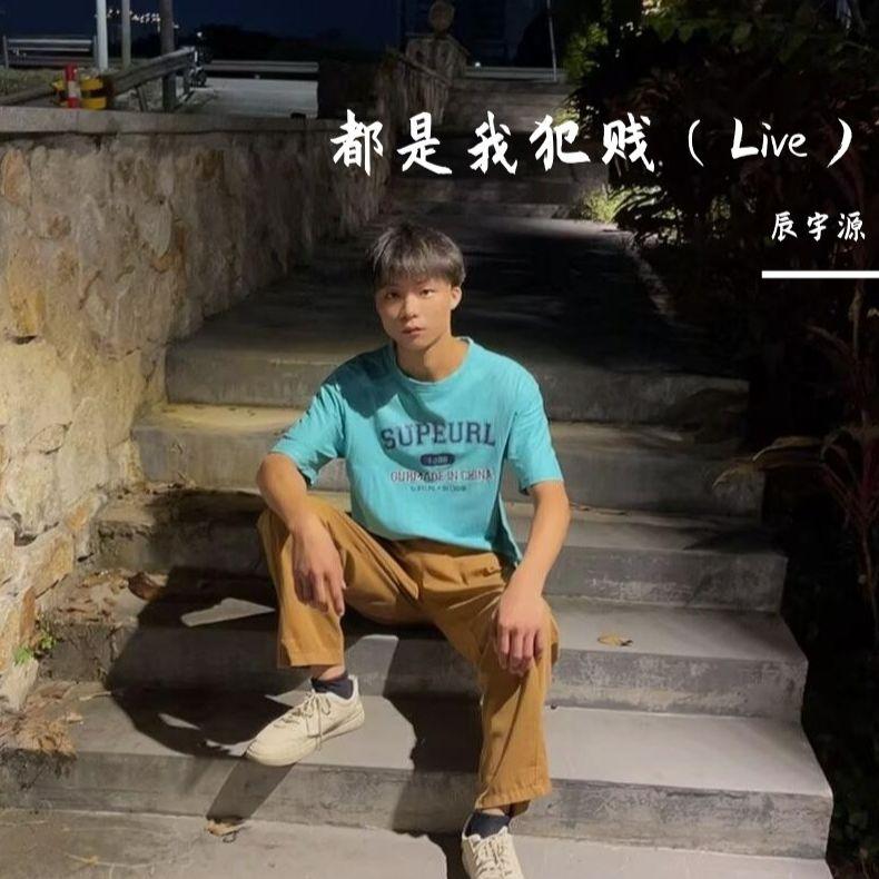 都是我犯贱（Live）封面