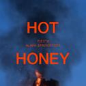 Hot Honey专辑