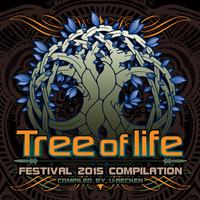 Tree Of Life Festival 2015