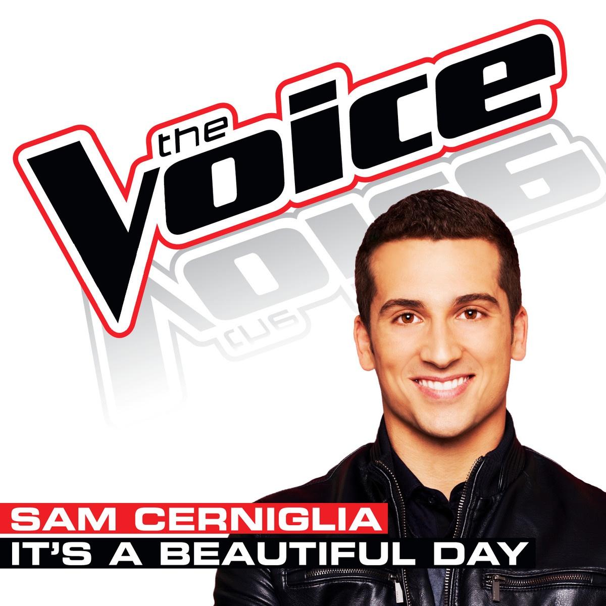 it’s a beautiful day (the voice performance)歌手:sam