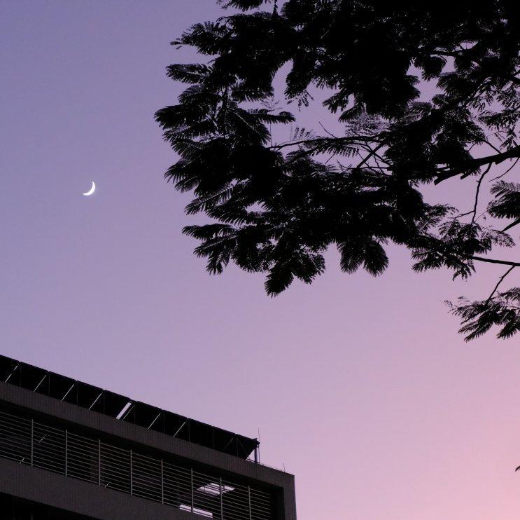 队长/薛之谦/告五人/林俊杰/郭顶/GEM邓紫棋