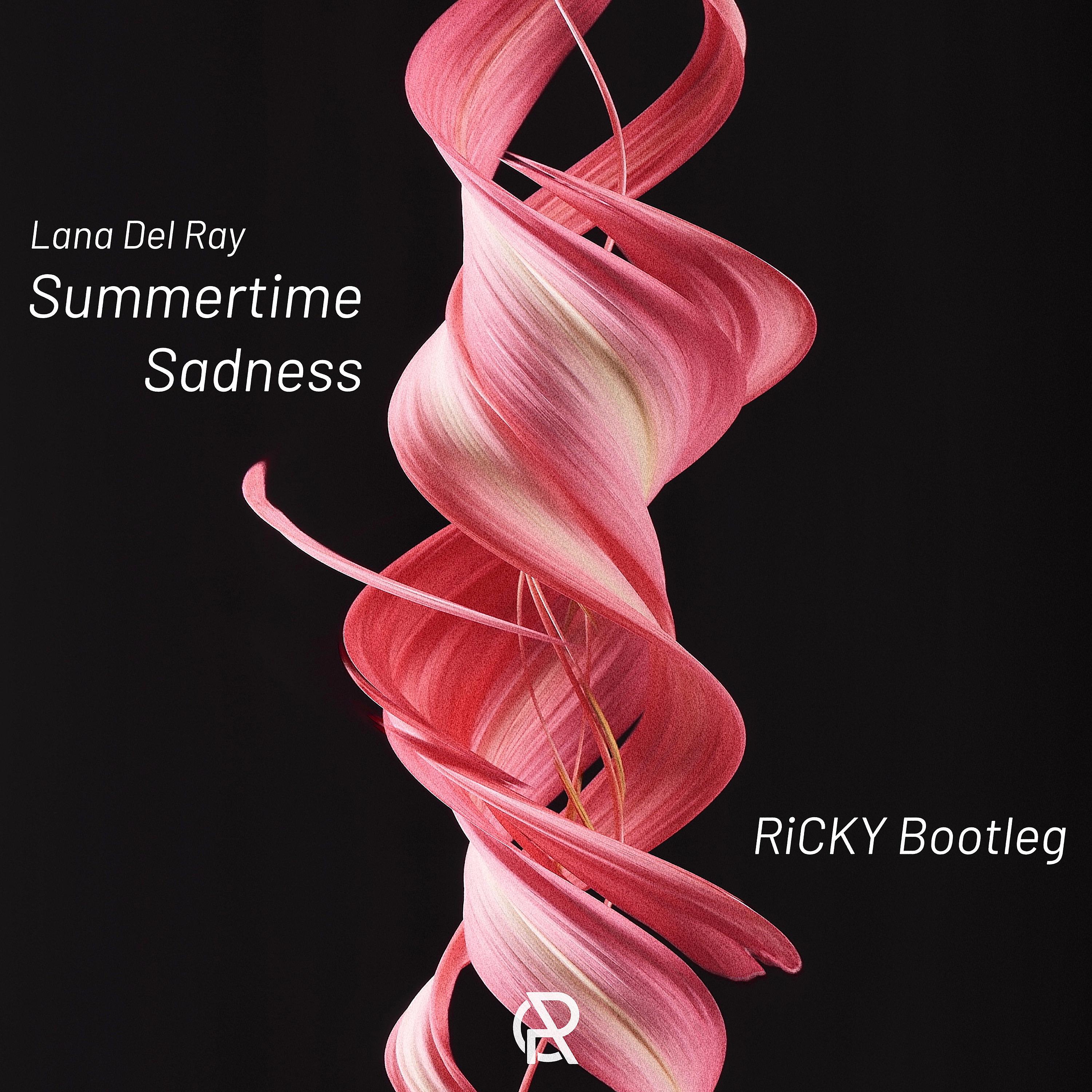 Lana Del Ray - Summertime Sadness (RiCKY Bootleg)