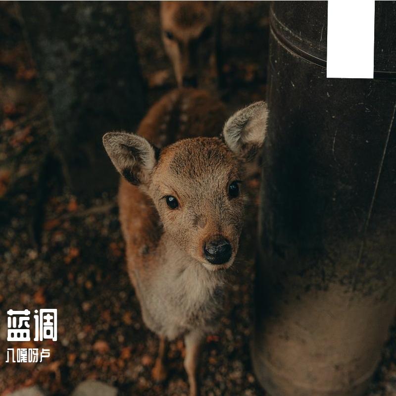 离线星球封面