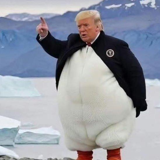 DT in the WhiteHouse