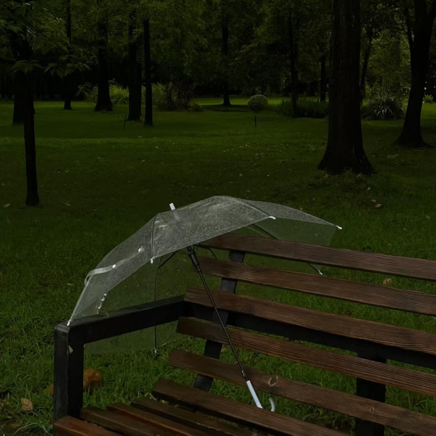 悄悄陪你淋完这场雨封面