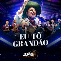 Eu Tô Grandão