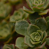 Spring Relaxing Melodies for Sleep