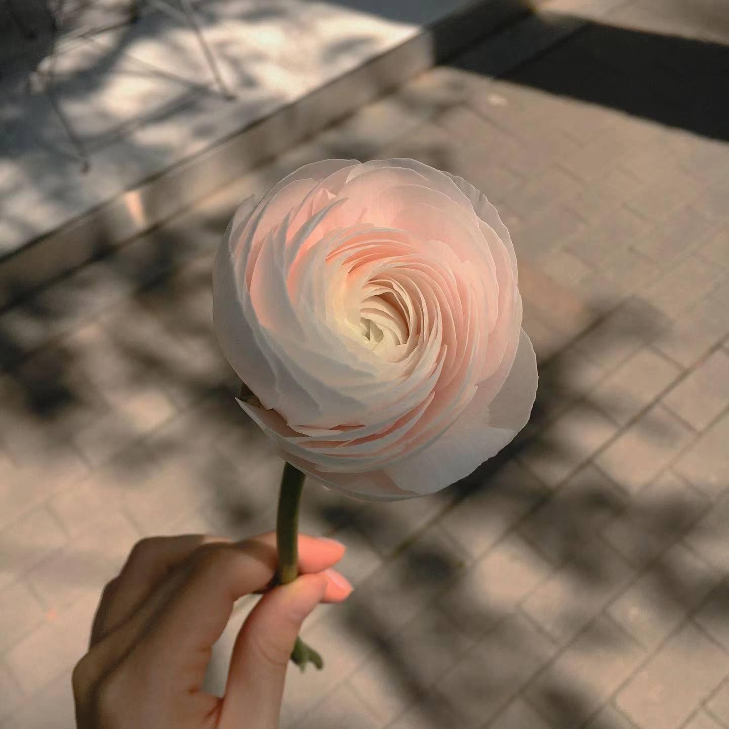 Doja Cat - Kiss Me More（Remix）